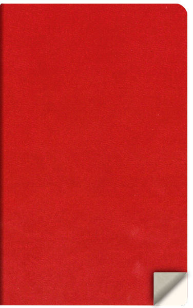 σημειωματάριο-expressions-4900n-κόκκινο
