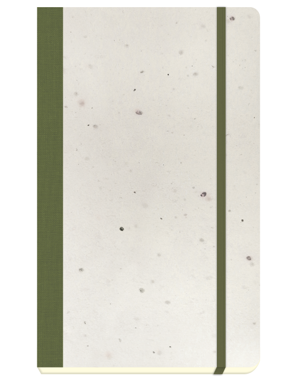 σημειωματάριο-precious-4900n-χρυσό