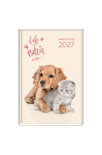 Dog & Cat