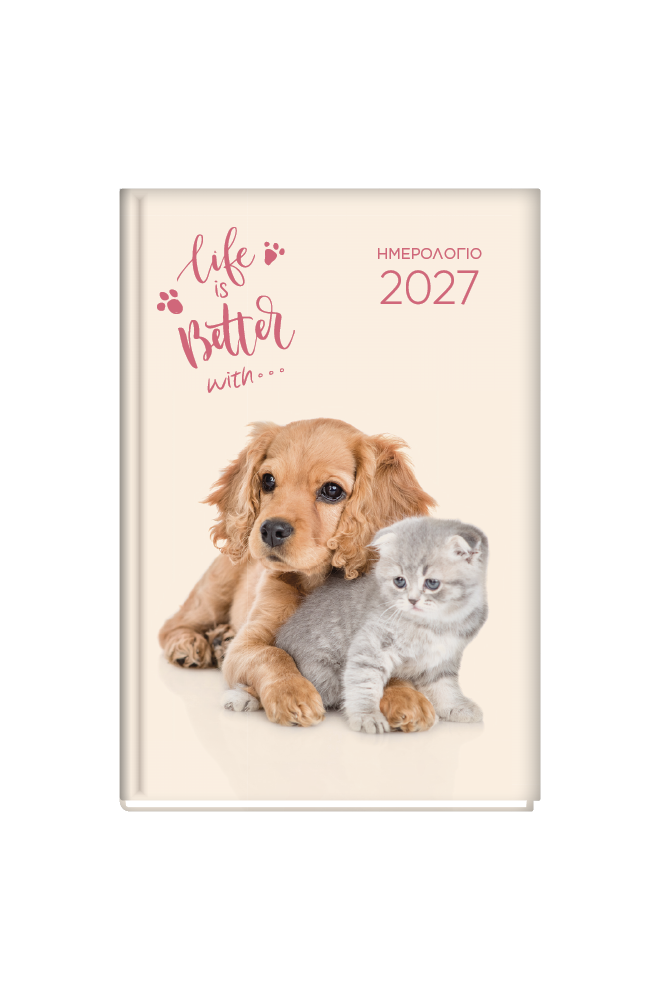Dog & Cat