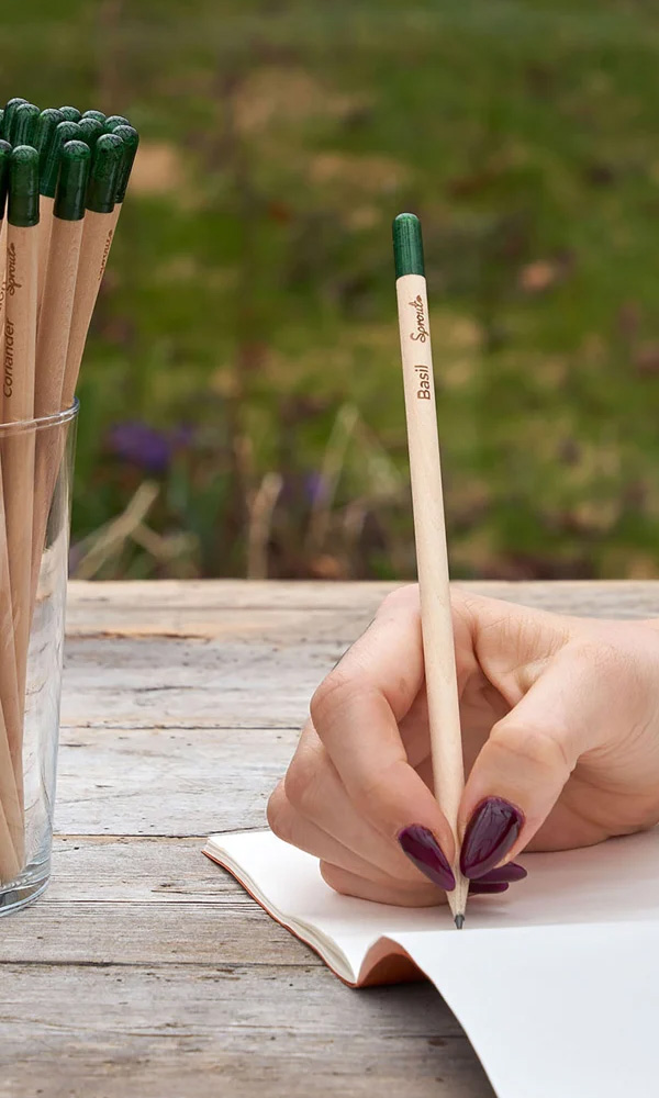 Sprout Pencil
