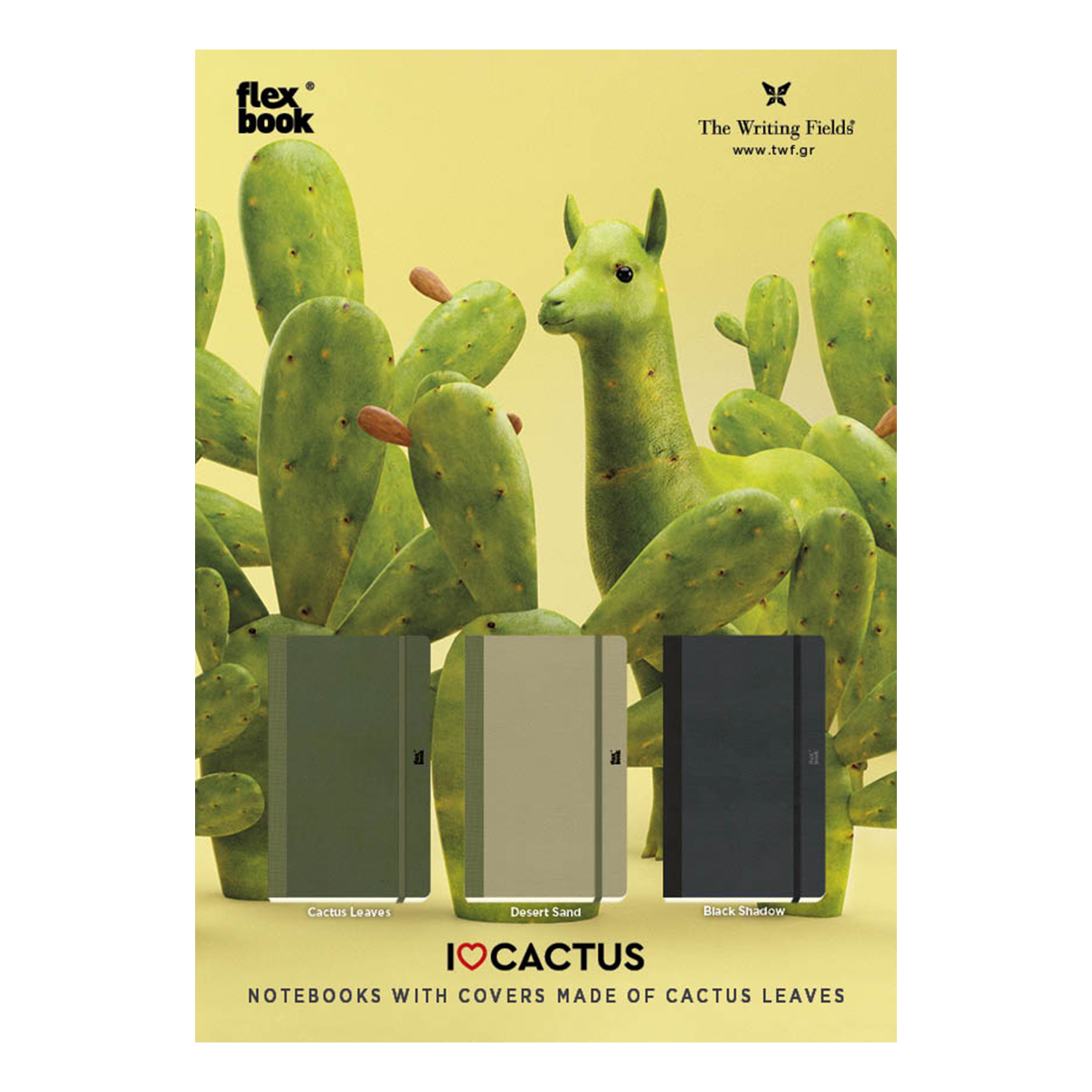 cactus display